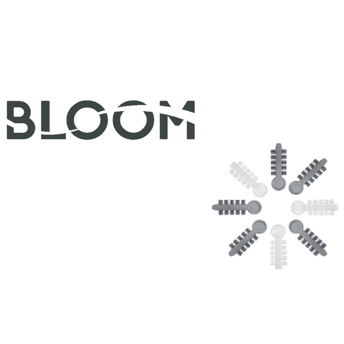 Topes de Rotación   c-10 Bloom